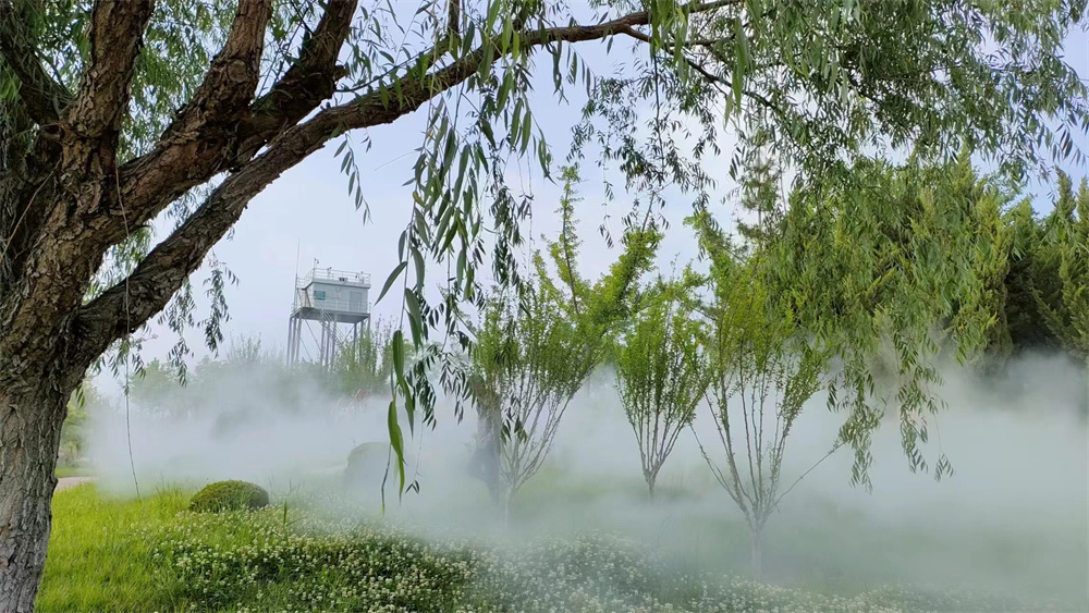 山東濱州景區(qū)霧森